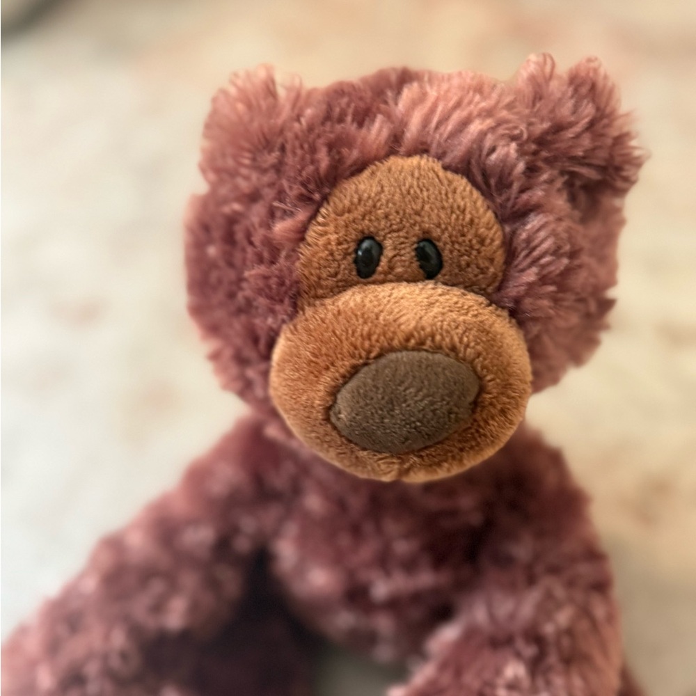 Brown Stuffed Animal Teddy Bear